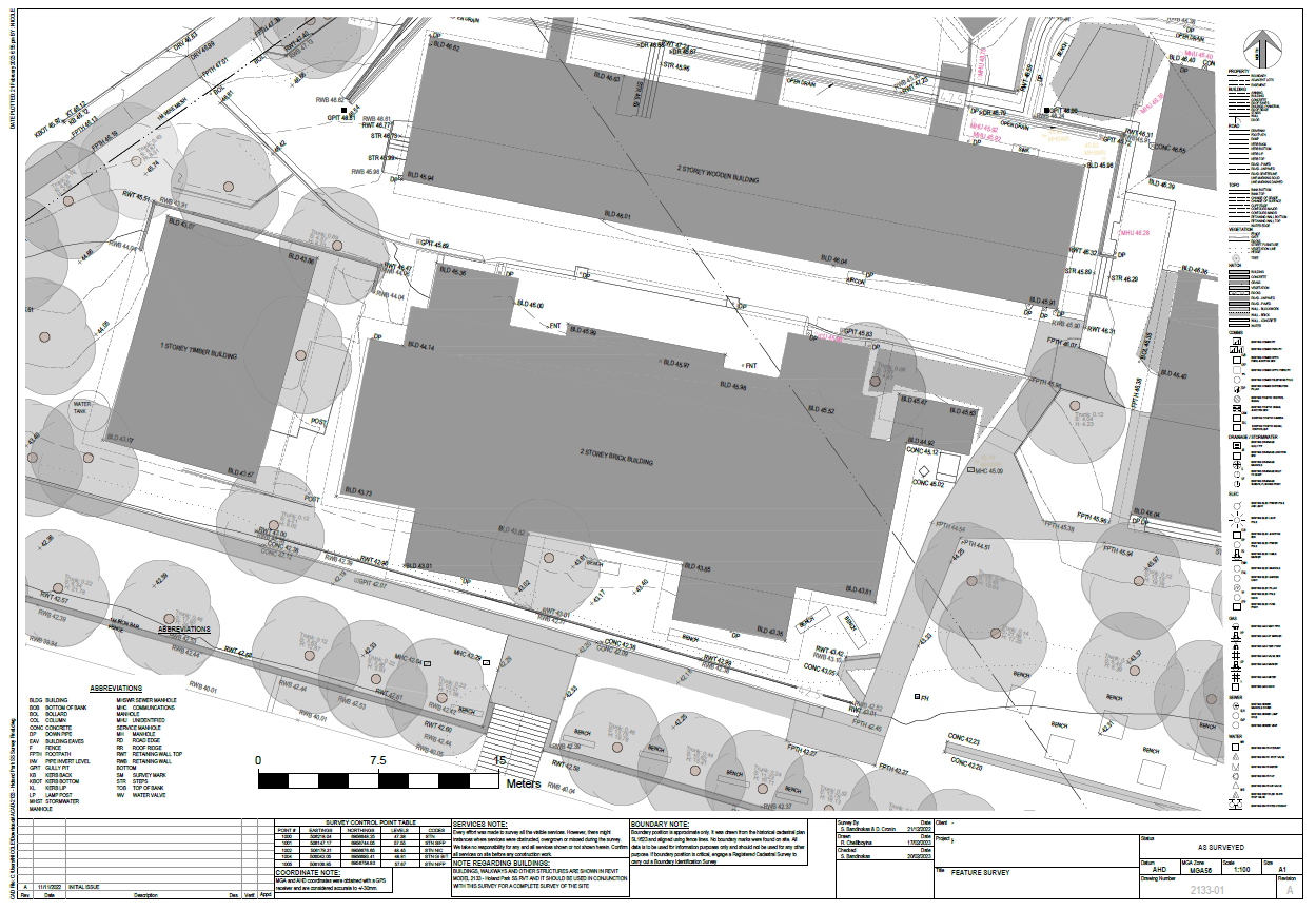 Site detail survey drawing